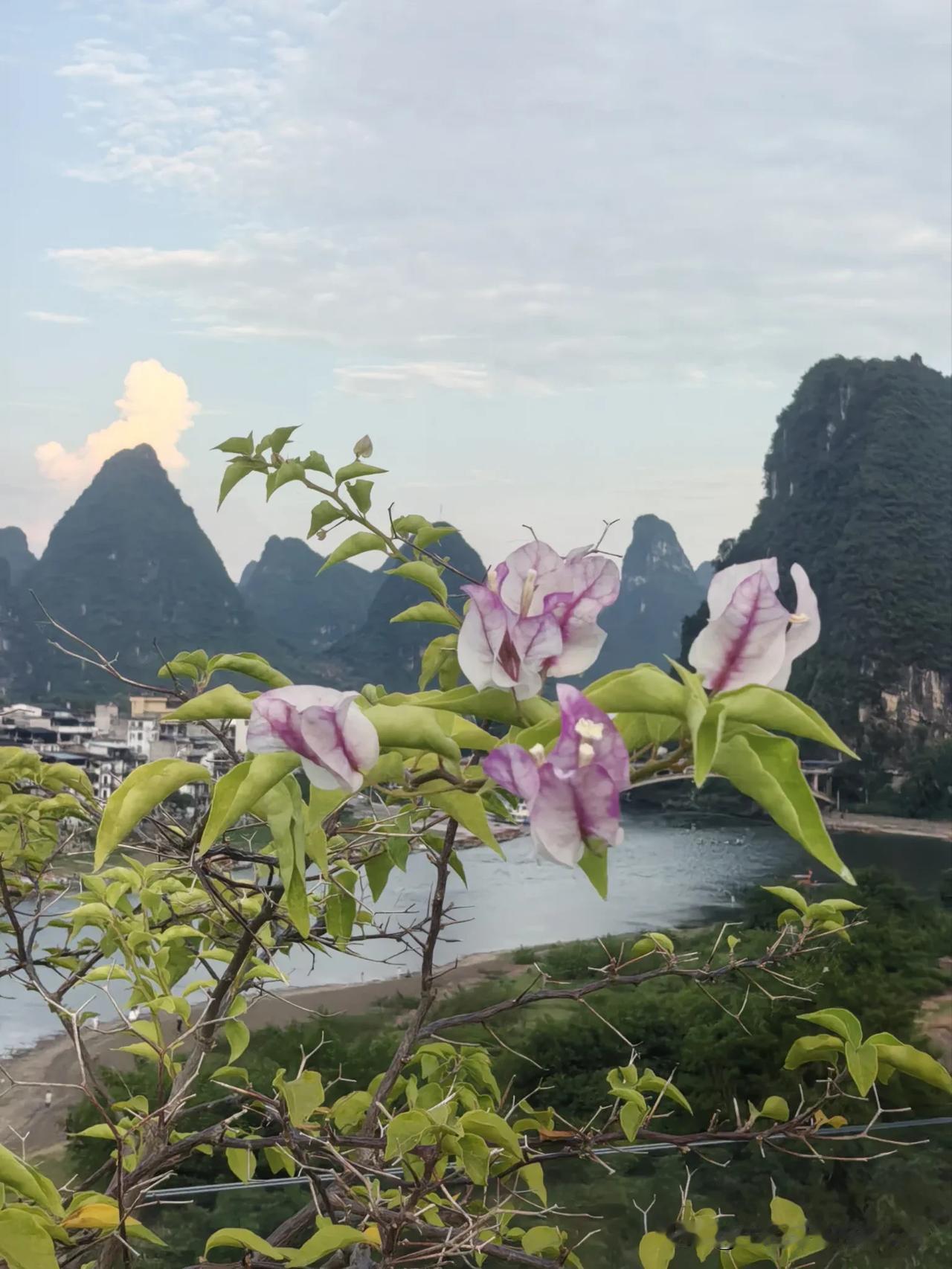 一个人的寿命，其实上天早已作好安排！多年前，老家村里一个寡妇，丈夫去世的早，