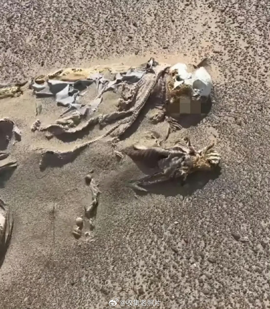 沙砾中的旅行者，对于那些在荒野徒步，野外行走的人而言，这是一种荣耀吧？终点也是新
