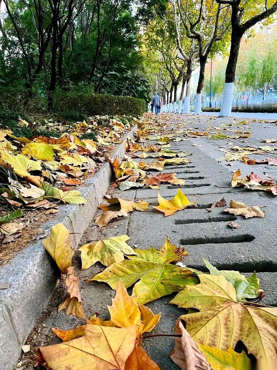 我们养老院院长，说过一句最扎心的话：人老了，真到了失能那一步，最孝顺的儿女，不