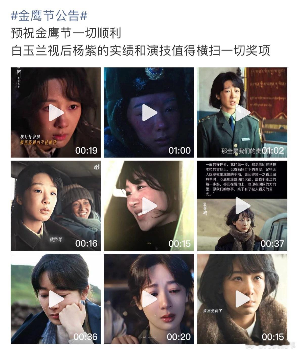 金鹰节公告出来了，说是月底将公布具体获奖人员。但是怎么点进这个词条，全是杨紫啊？