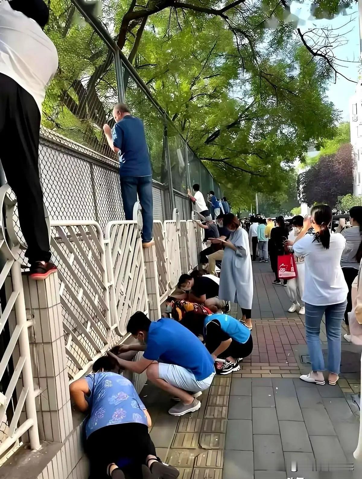 太震撼了！苏州，一初中初一开了96个班，5000多名新生，一个年级比一所标准初中