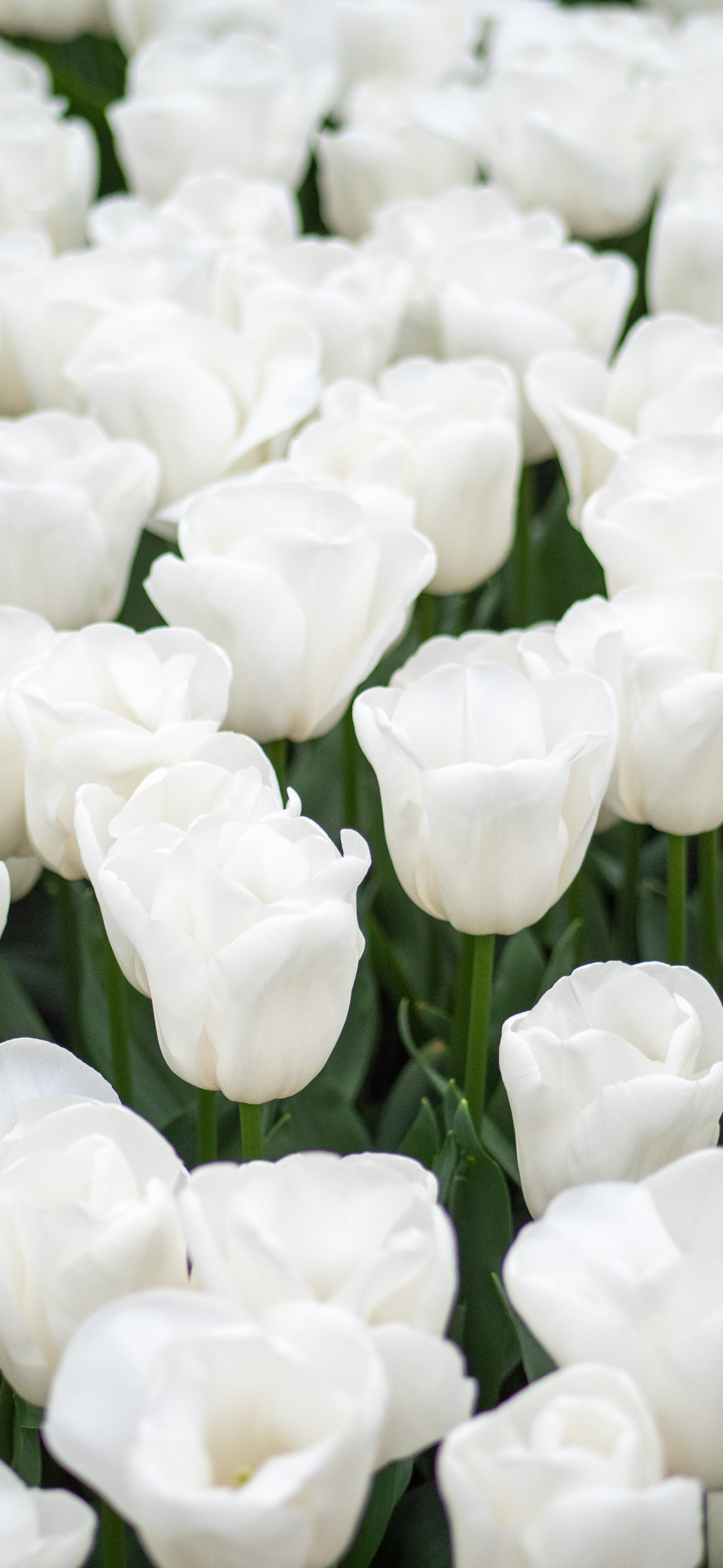 当下的悲喜，不足以影响未来，也不足以让此刻的你停滞不前，想清楚了这点，你会更开心