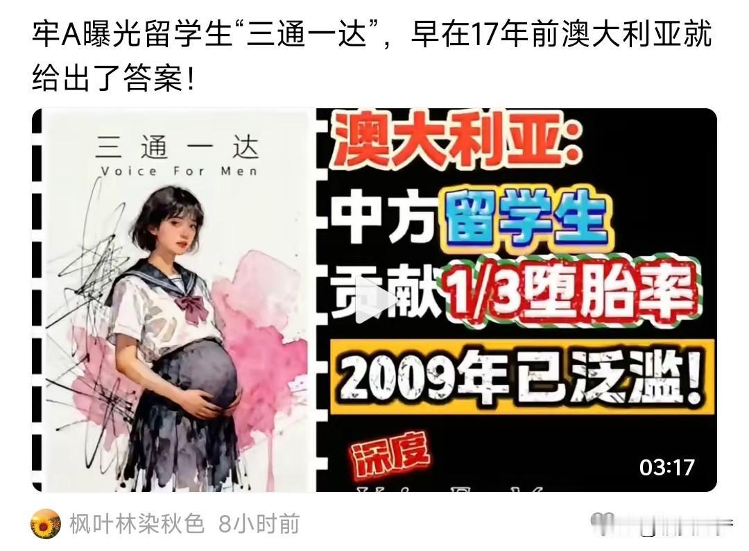 反正我们这边有过欧美留学经历的女留学生在婚恋市场上快成为过街老鼠了。哪怕你是常青