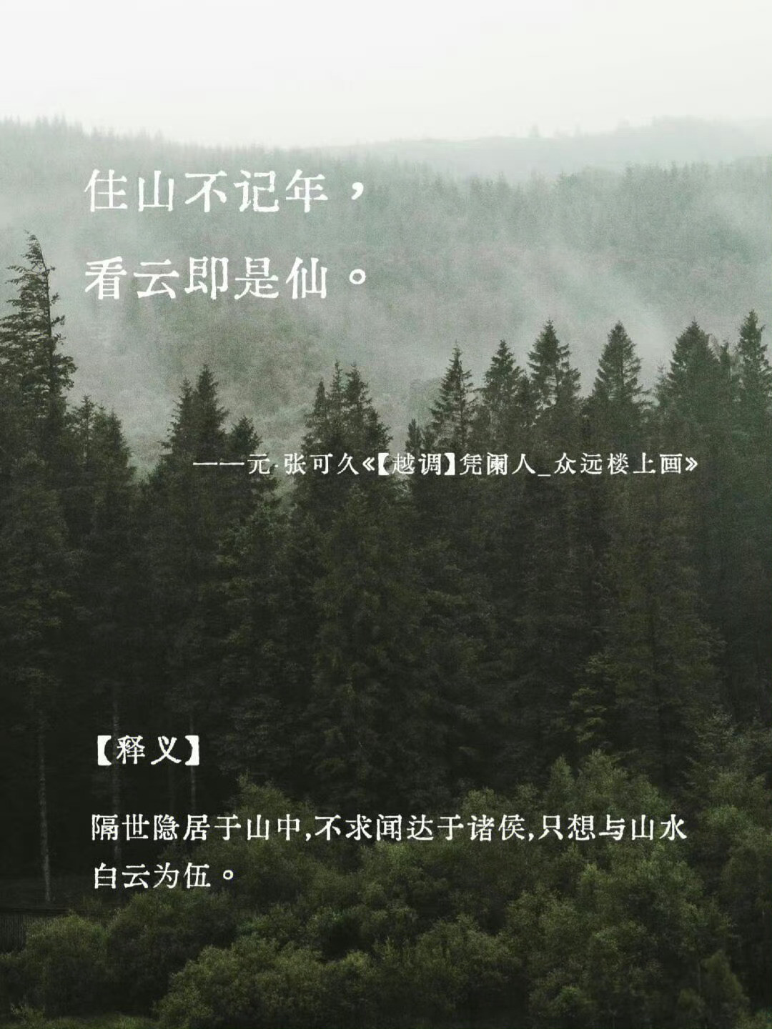 他可是写出“松花酿酒，春水煎茶”的张可久啊！​​​