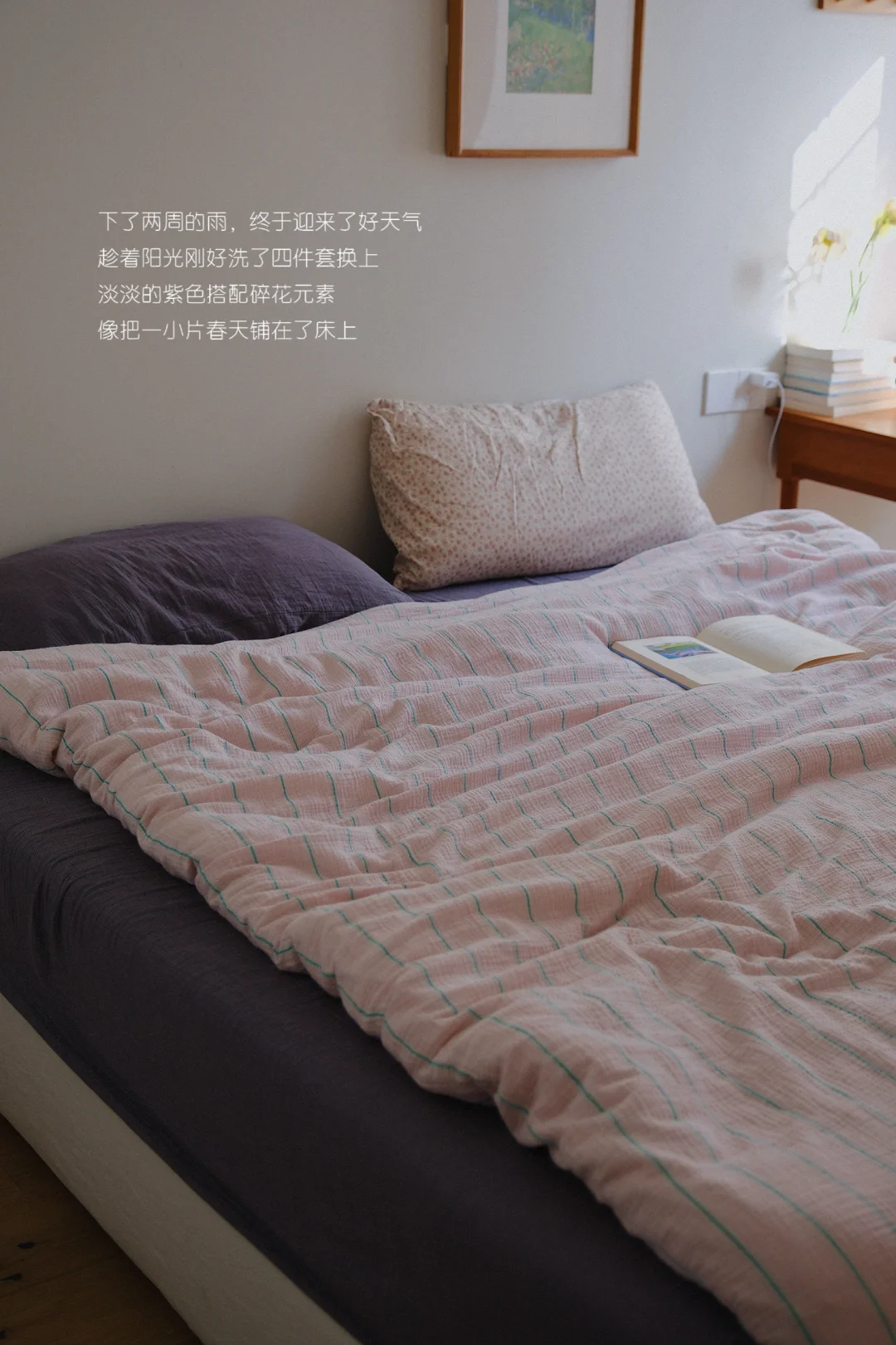 Spring“春日卧室🪻🛏️”