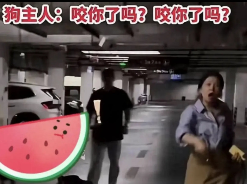 丹阳文旅一觉醒来天都塌了，本以为狗主人登门道歉是完美的惩罚，没想到网友根本不买账
