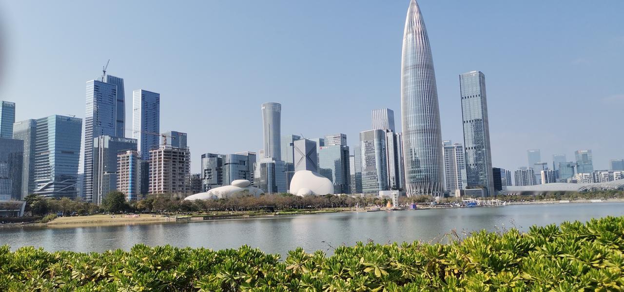 深圳人才公园非常值得推荐！深圳人才公园是深圳必逛的免费地标公园。✨为什