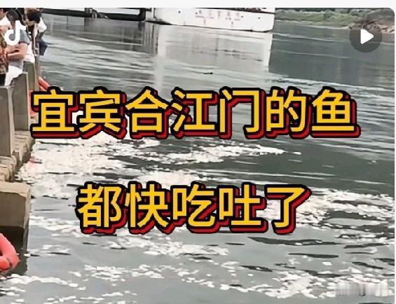 宜宾合江门的鱼，到底该不该大量投喂馒头？我们的饮用水，来自哪里？昨天发了关于
