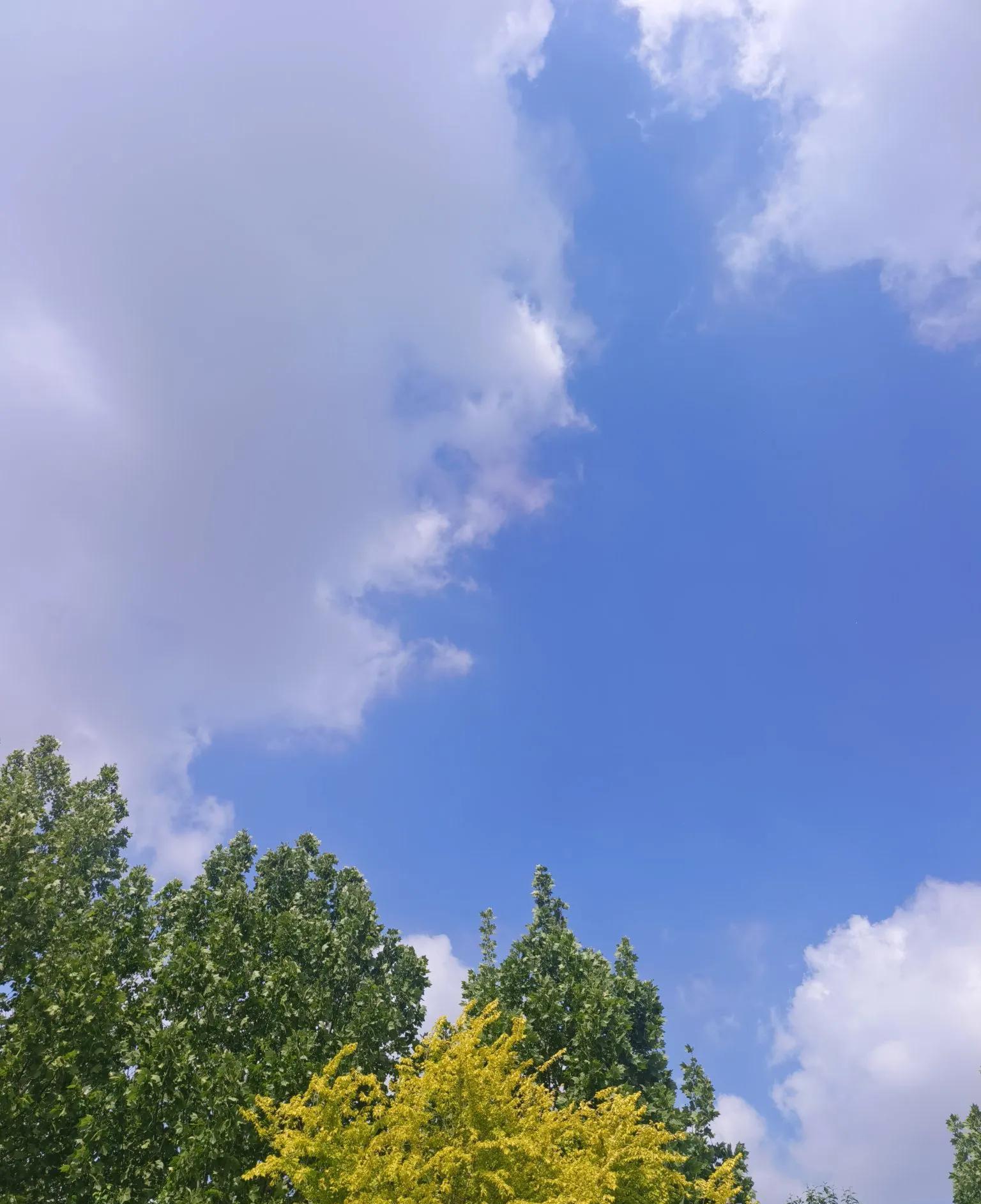 情感中女人的暗示，你懂吗？她们的心思，如同深海般难以捉摸。一句简单的“你