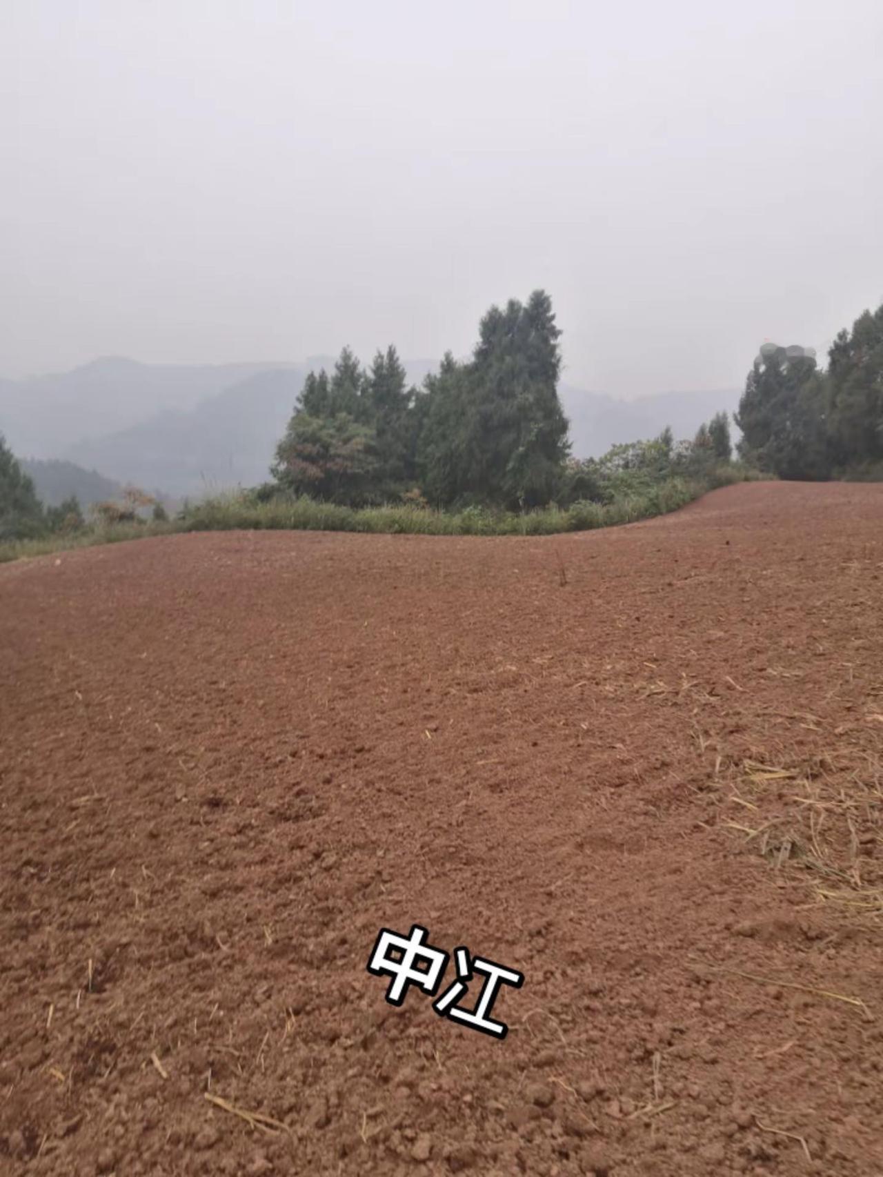 美的的山顶上。农业种植