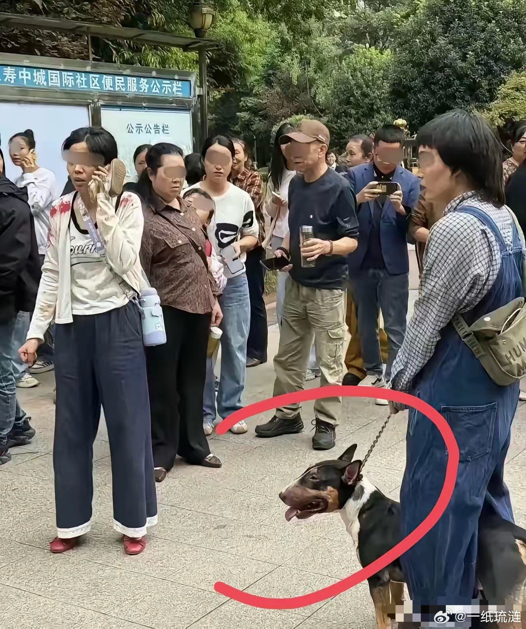 仁寿狗咬事件大家忽略了一个细节，事发后这只烈犬仍然没有戴“嘴套”！看到这个狗主人