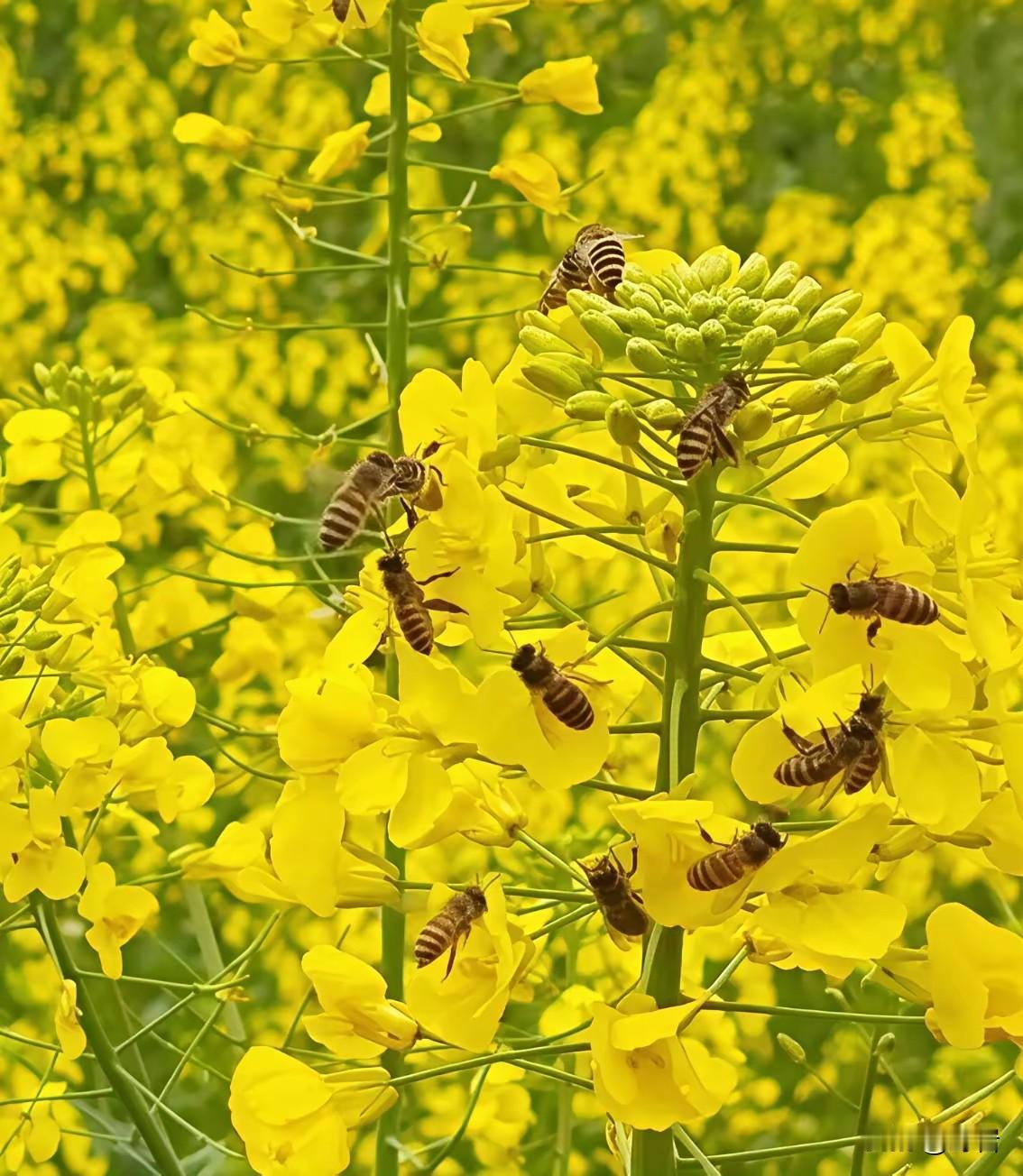 一定要远离这五样东西，否则一生尽毁1. 远离沉迷游戏：毁掉的不是时间，是斗