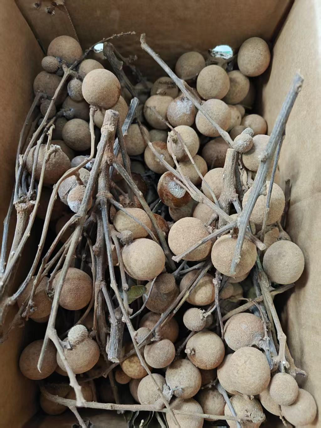 变质的龙眼网上刷视频，给推送了一个卖龙眼的，直播间说的很真诚，新鲜龙眼，19.