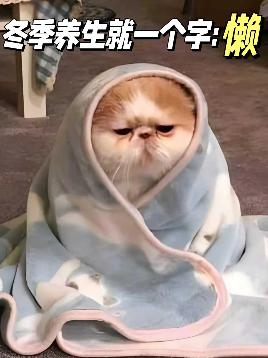 学了中医才知道:冬天要多吃多睡少动少洗澡