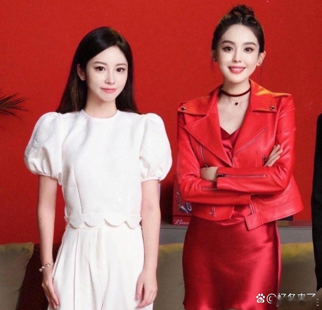 网红和明星的差距，一对比就出来了