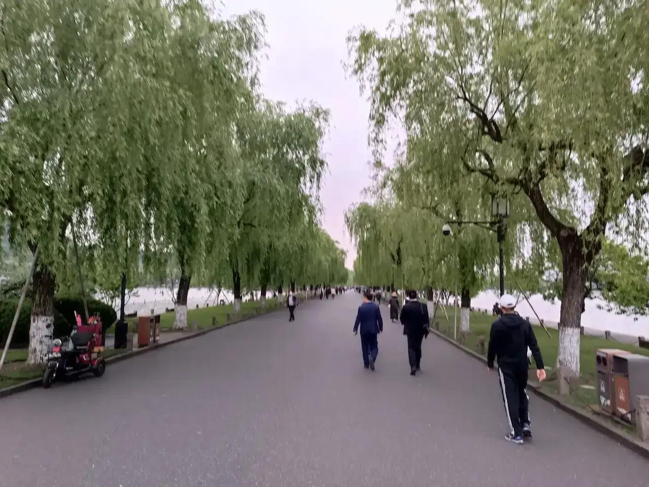 有谁能够领略雨西湖的美呢？最近杭州连续下雨，西湖也成了雨西湖啦。夏天的雨西湖