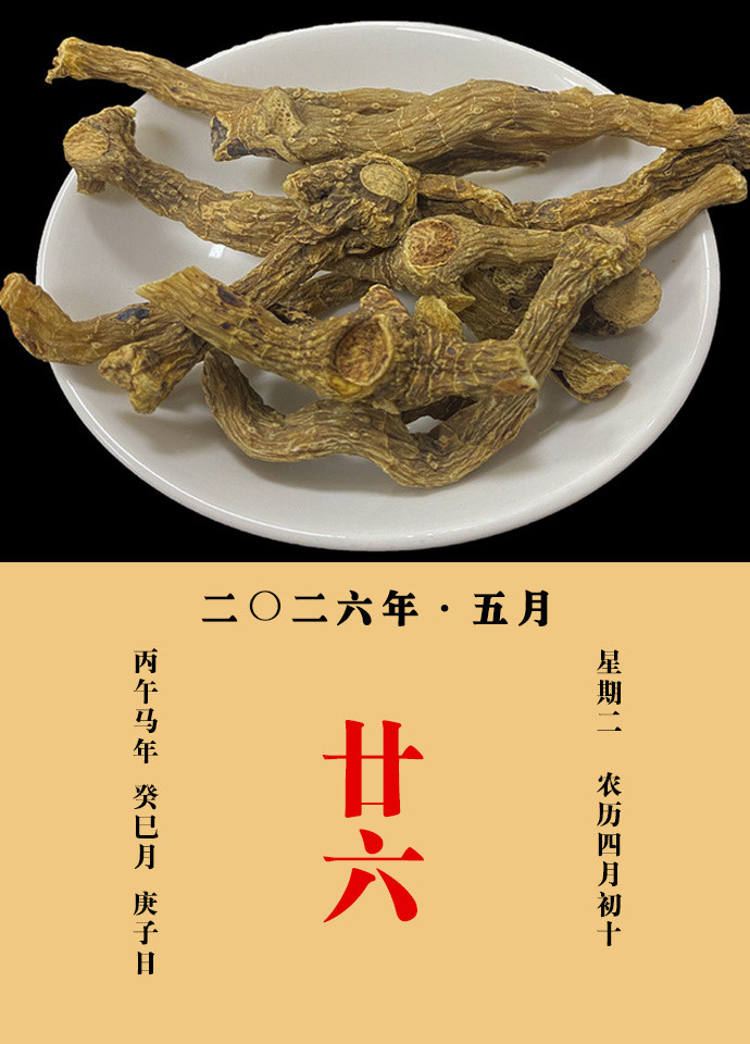 每天一味中草药大明说：玉竹，除烦闷，止消渴，润心肺，补五劳七伤虚损，腰脚疼痛，