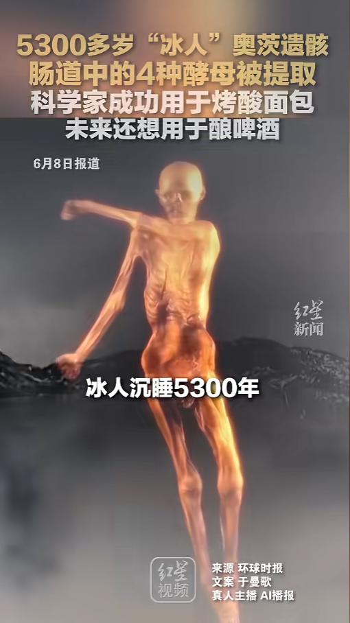 “这玩意儿能吃么？”6月8日报道，国外科学家从冰人奥茨遗骸上提取出了四种或活性酵