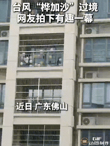 “佛山这男的也太有头脑了！”台风“桦加沙”来的时候，别人都忙着收花盆、封窗户，