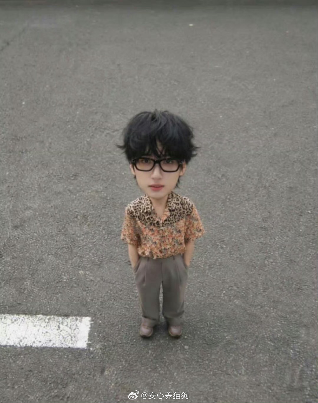 猫猫专心经营自己的呆萌生活​​​
