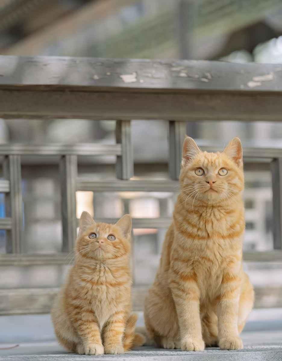 异性之间哪有那么多玄学。眼神拉丝，身体靠近，手脚触碰。他们把这叫“身体语言三