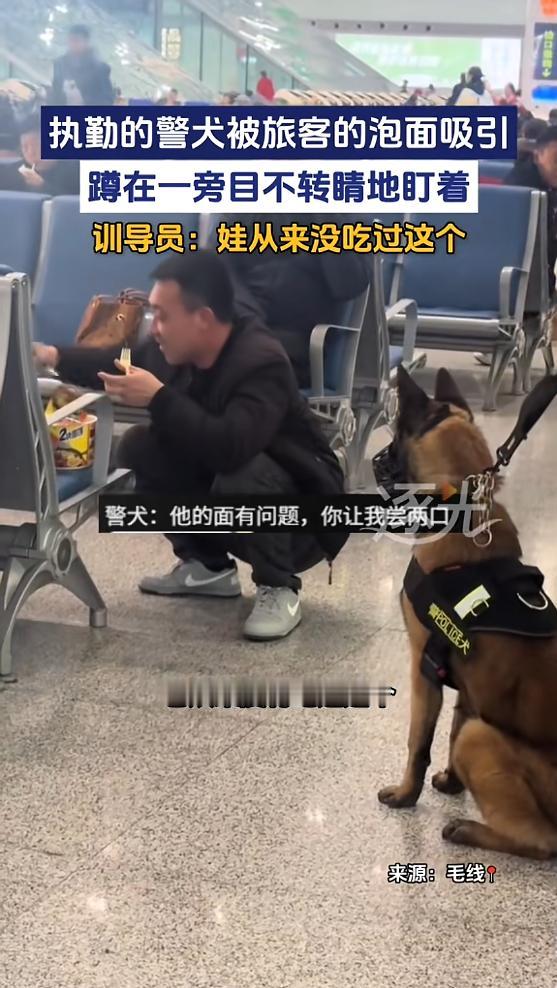 “笑不活了！”2月1日，陕西西安，一男子在火车站候车时，觉得有点饿，便泡了桶泡面