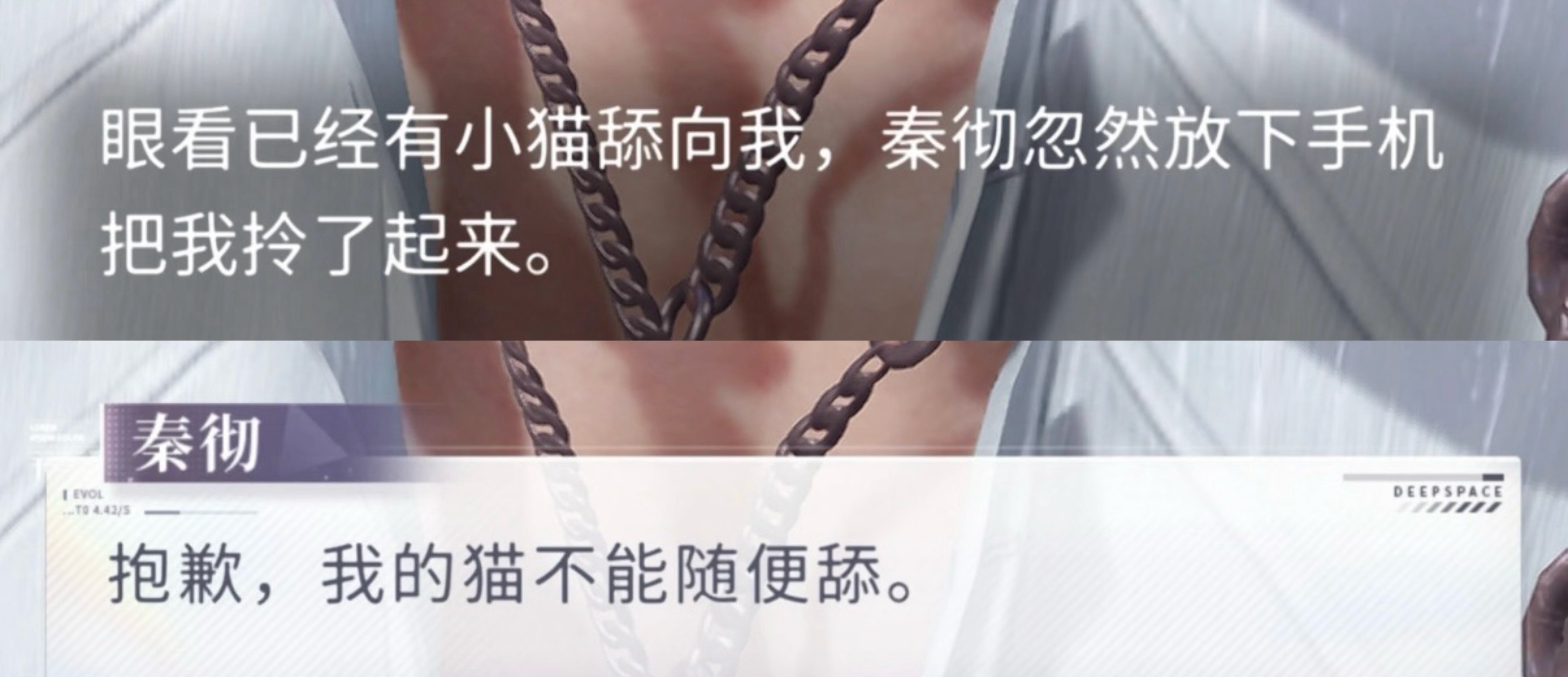《抱歉，我的猫不能随便舔》😿