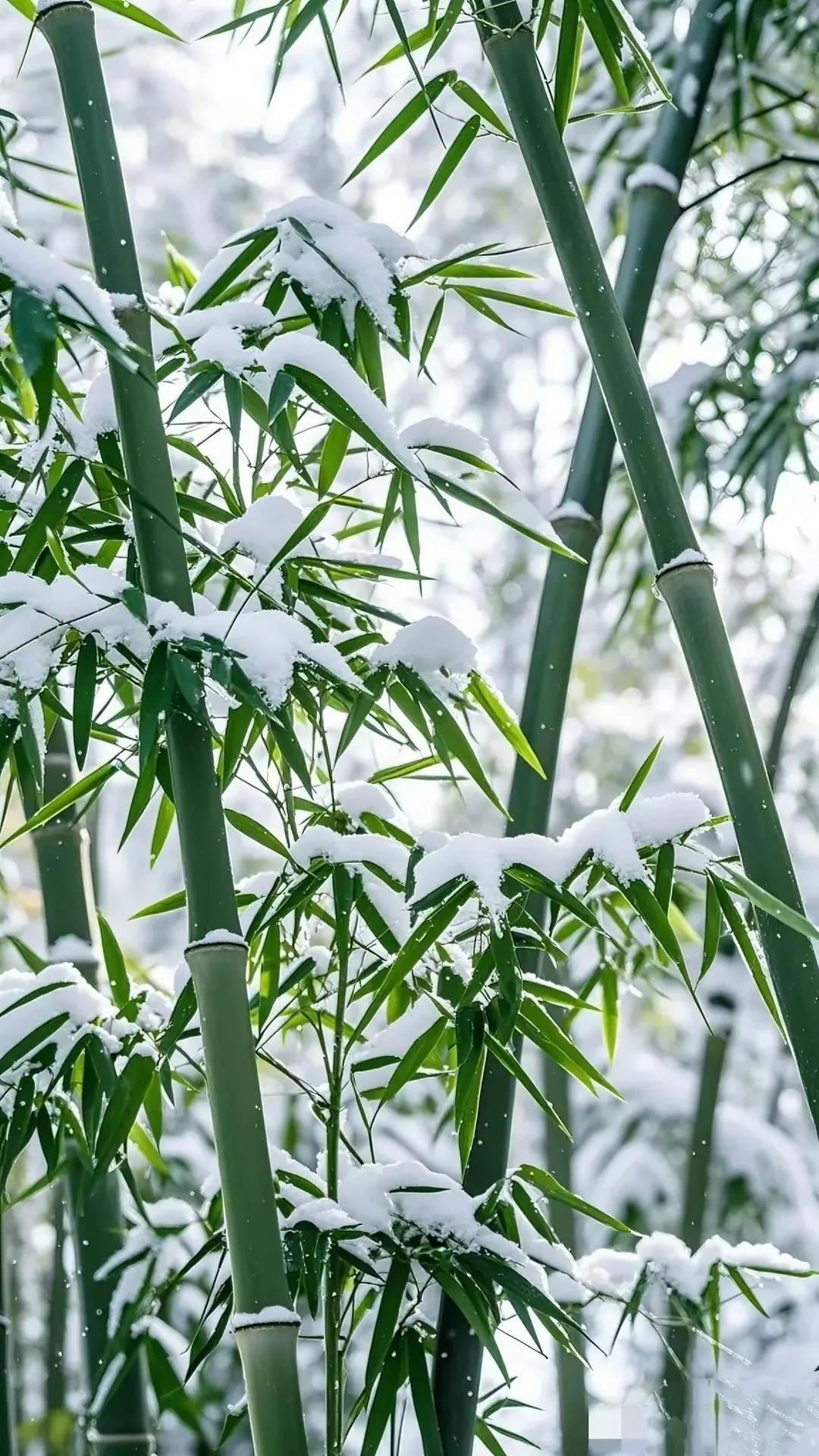 爸妈放心不下的大姐爸妈有个心病：那就是远嫁江西的大姐。当年，家里三个孩子，父母