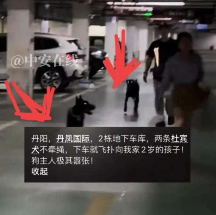 狗主放任杜宾扑小孩后续！正脸被扒嚣张放狠话，警方介入彻底凉凉