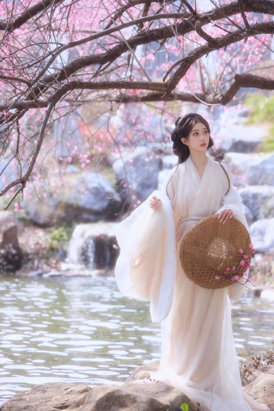 “茶博的梅花太好看了🌸”