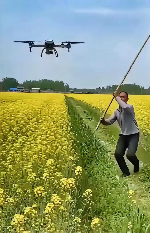 资本进攻农业了？无人机飞到油菜花田里打农药，大爷直接给它干下来。这哪里是服务