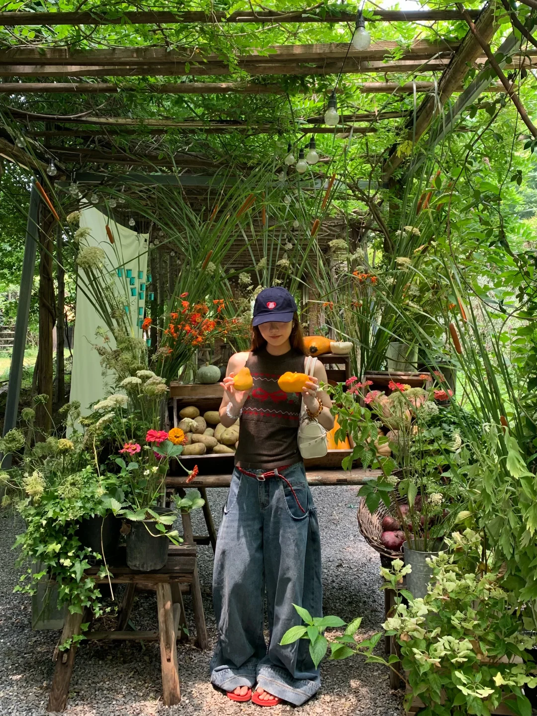光合作用一下🍃