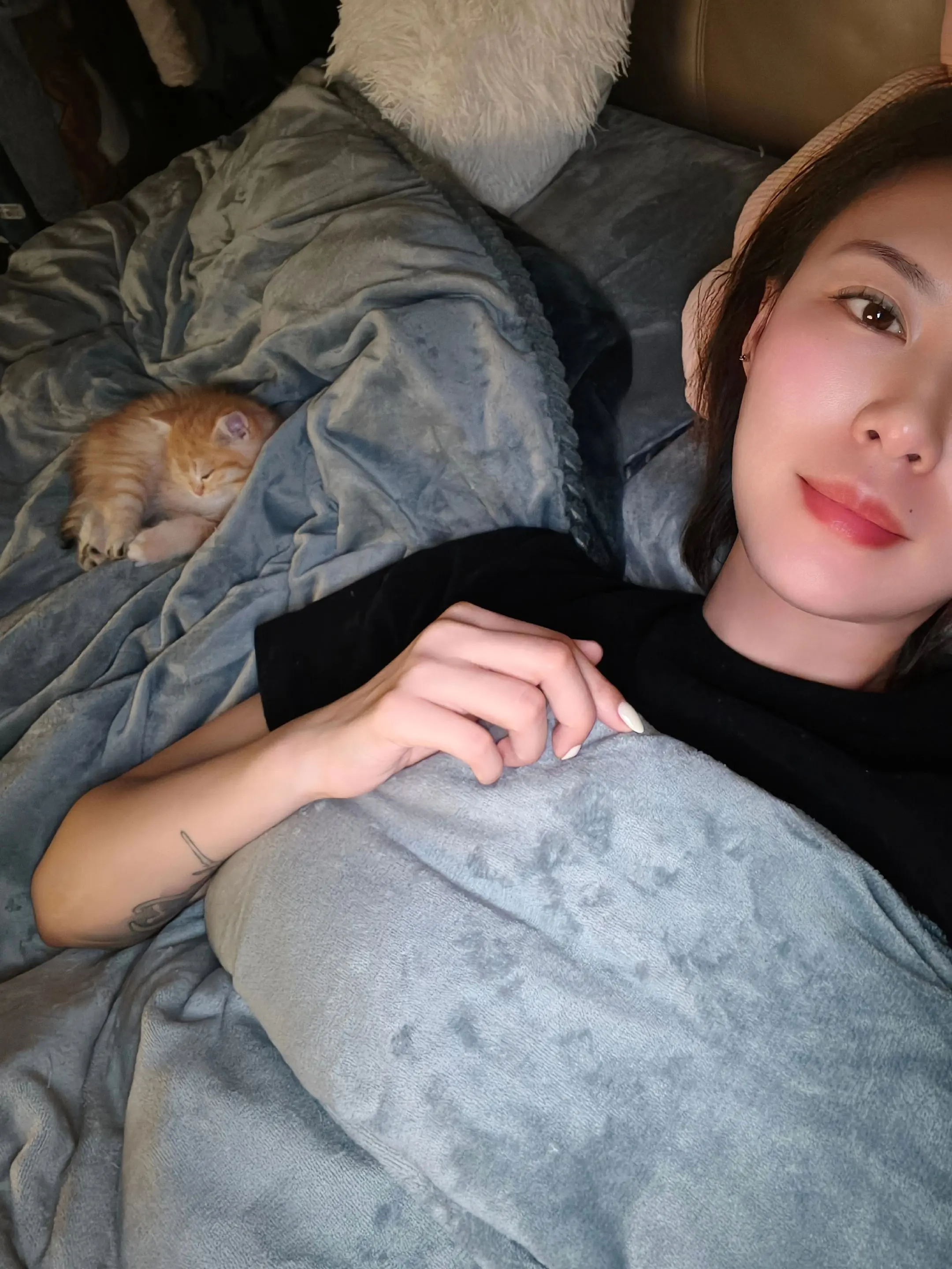 有你不再孤单 一张照片证明你有猫