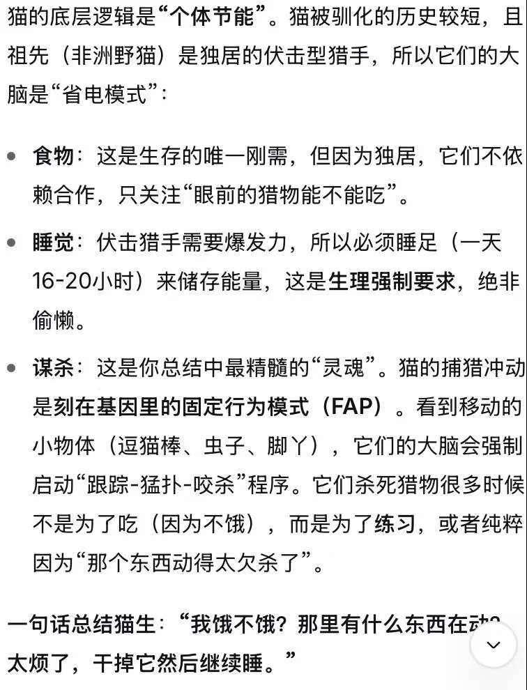 猫和狗你会选择谁