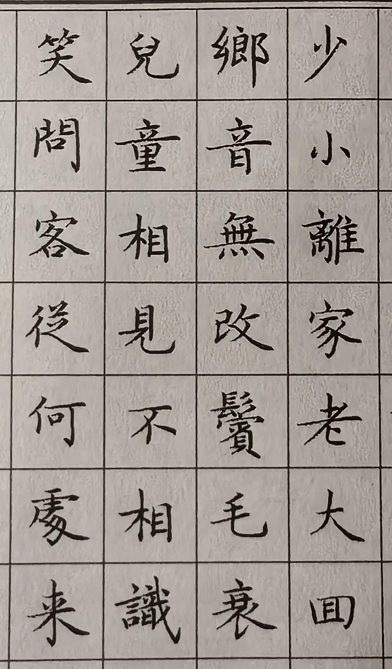 临卢中南小楷，那美真是绝了！卢中南小楷笔画精致，每一笔都像是精心雕琢的艺术品。起