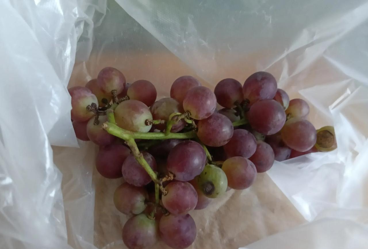 今天下午下班的时候又买了葡萄，像图上这样的葡萄是2.5元1斤。我尝了一个口感