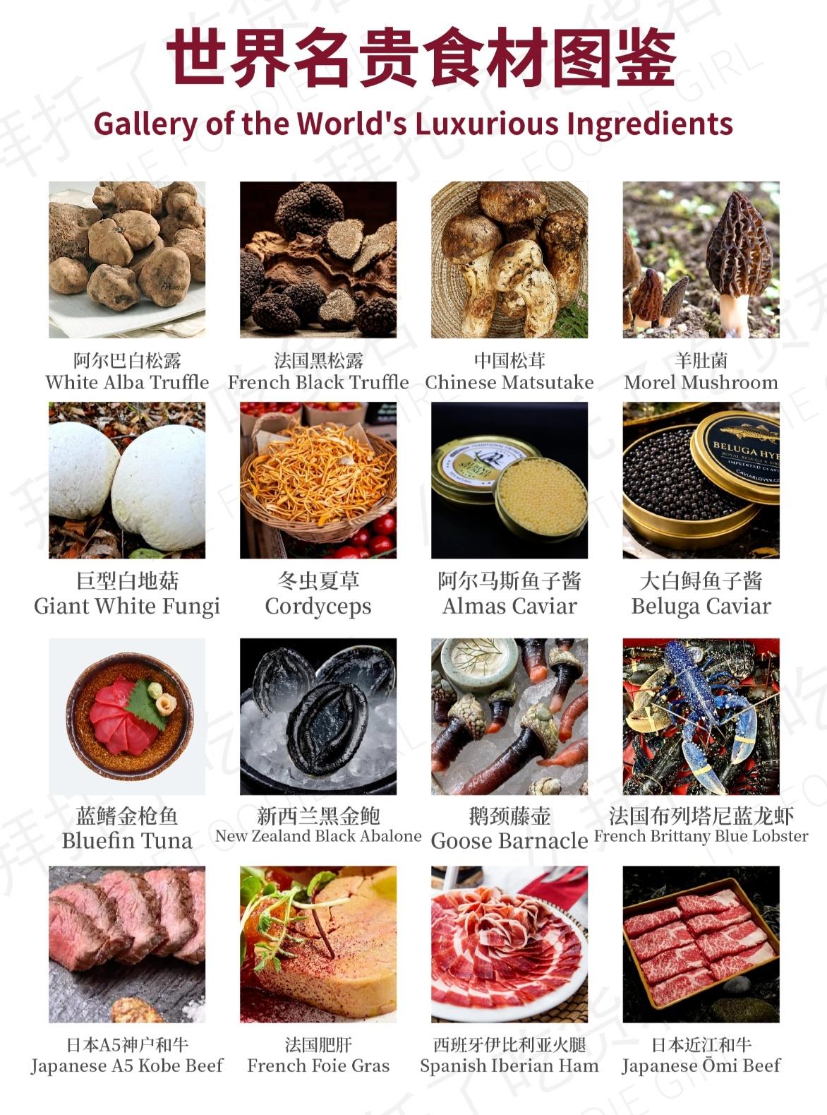 全世界最贵的食材，吃不起看看涨涨见识吧！提到顶级名贵食材，不少人只听说过鱼子酱、