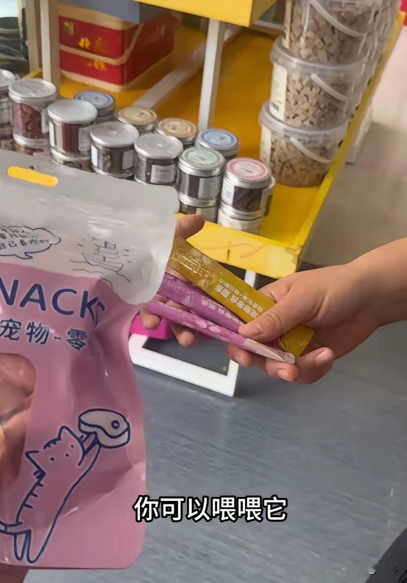 泪目了！一位小姐姐开了一家宠物店，这天早上一大早，来了一位小姑娘，她怯生生地问道