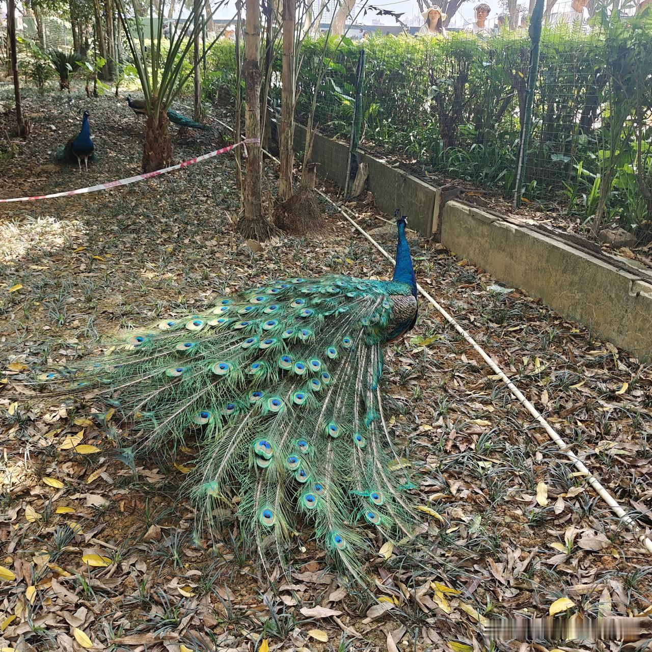 舍得1.在没钱的时候，把勤舍出去，钱就来了。这叫：天道酬勤!2.当有钱的
