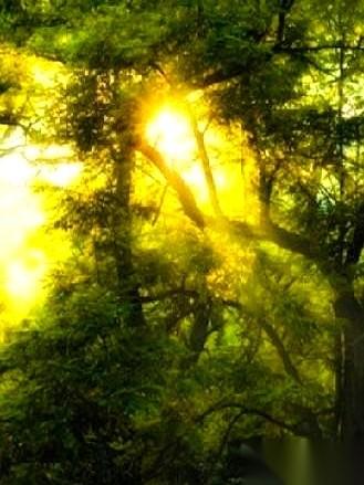 老公高中班上45个人，已经走了3个。一个癌症，一个车祸。还有一个，全靠药片吊着