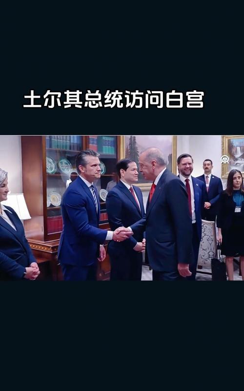 争风吃醋只为“宠”埃尔多安又来了，这是时隔6年后他再次在位时到访白宫——中间因