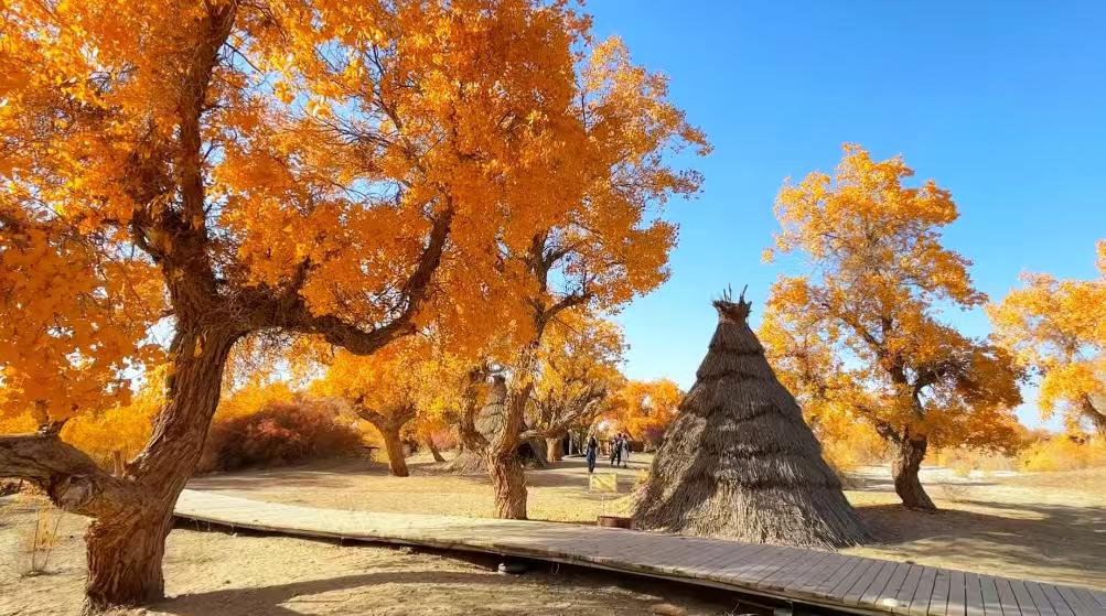 中国十大沙漠公园排行榜沙漠公园是荒漠生态保护与合理利用的典范，既是地球演化的