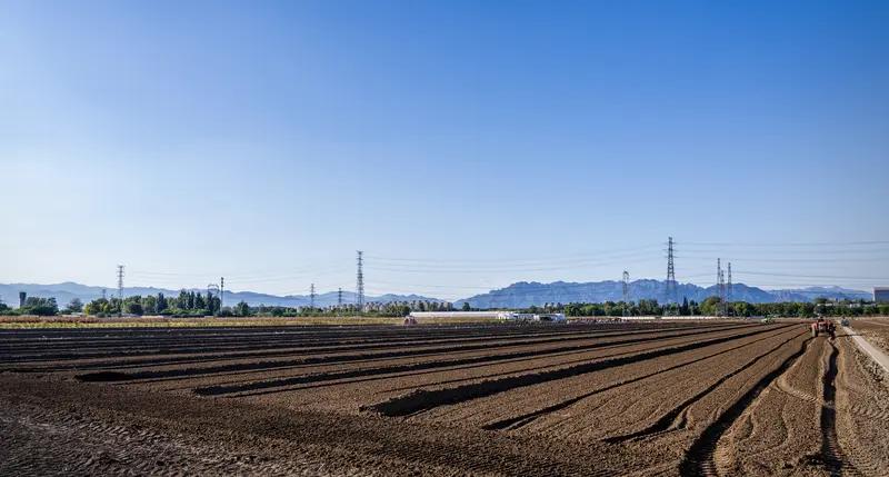 土地流转后，农村会消失吗？这还真不好说。现在大量土地正往企业、合作社和种植大户手