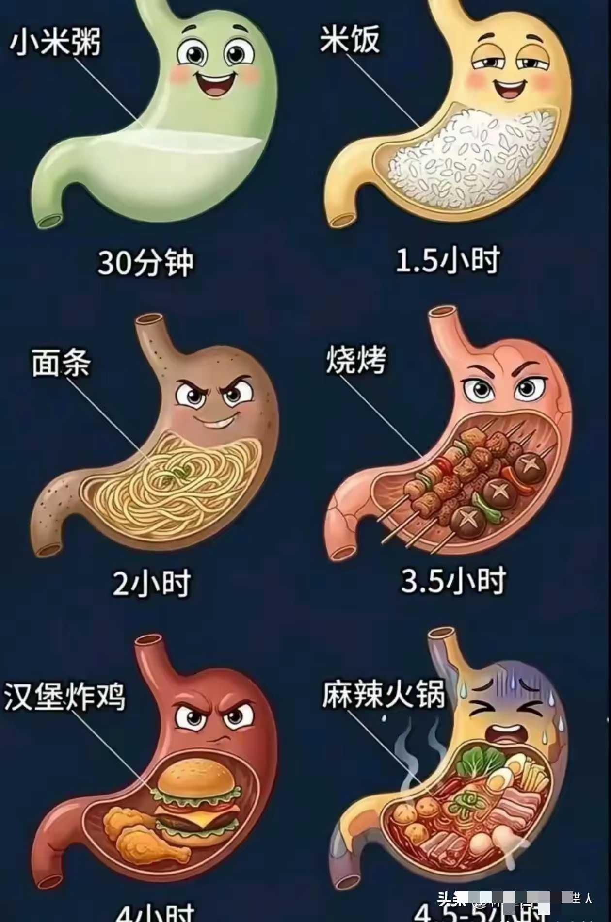 面条比米饭顶饿？