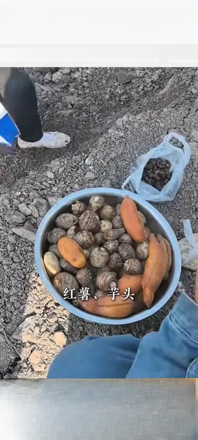 一盘“知了猴”暖出“鲁豫一家亲”近日，一段记录山东大姨与河南工人之间温暖互