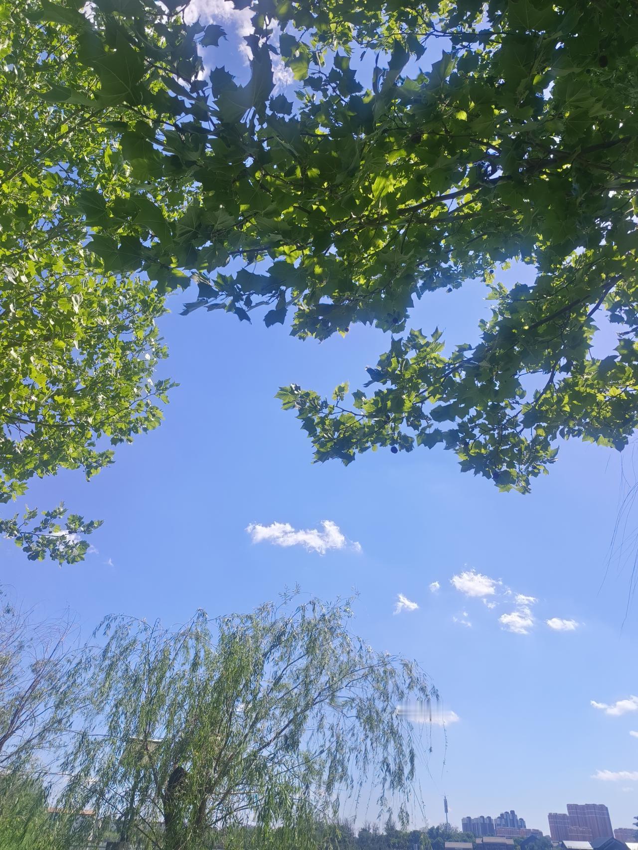 有时候我突然感慨，人与人之间的缘分，有时候好像就在某一天的某一刻，就到此为止。