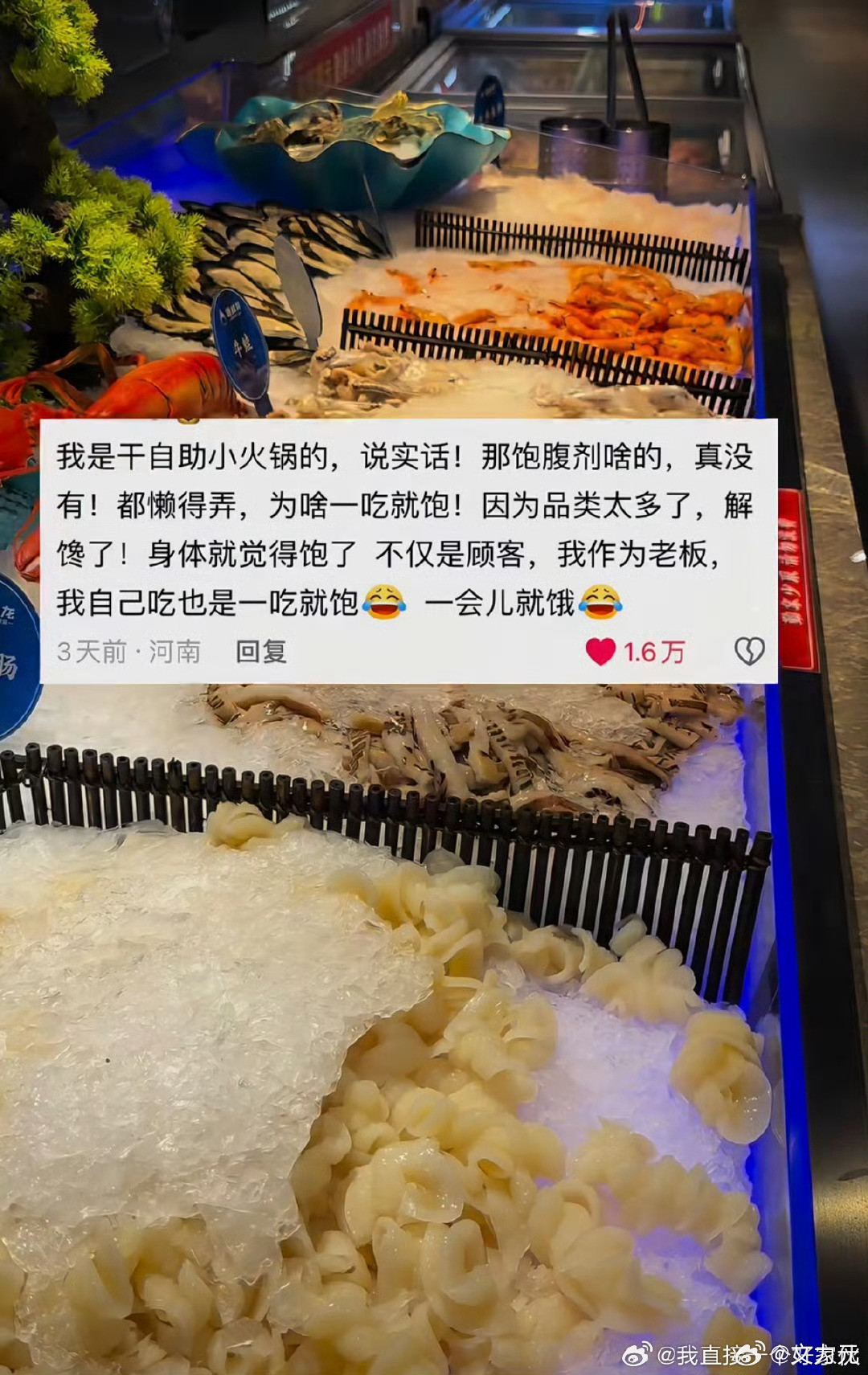 吃自助餐为什么容易饱，我怀疑问题出在蘸料碟上，每次只要一吃自助，真的是没吃几口我