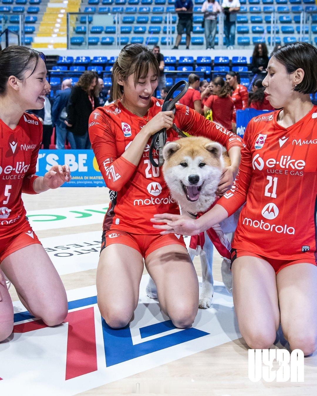 女排意大利女排联赛布斯托的三位日本🇯🇵球员（关菜菜巳、大友美空、和