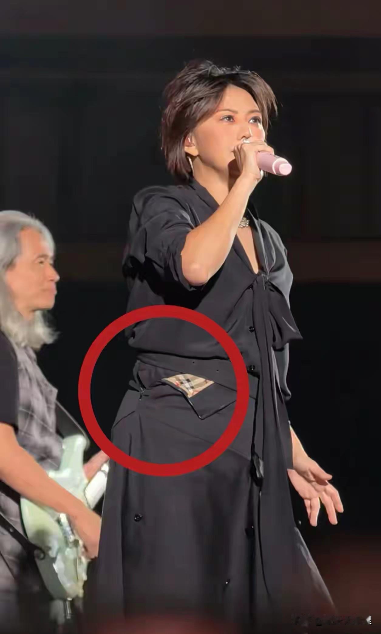 孙燕姿，应该也有烦恼吧？我想她的烦恼在于自己太胖了，以至于拉链都拉不上还要坚