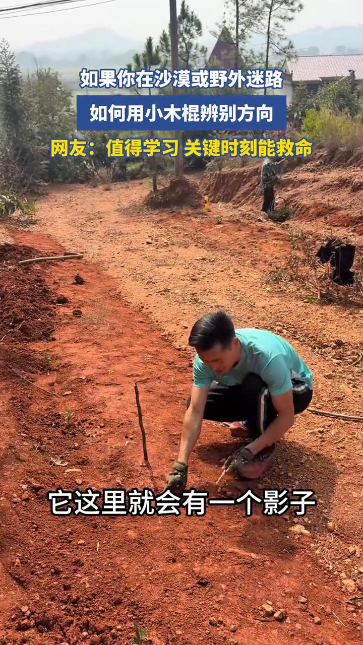如果你在沙漠或野外迷路，如何用小木棍辨别方向？网友：值得学习，关键时刻能救命。